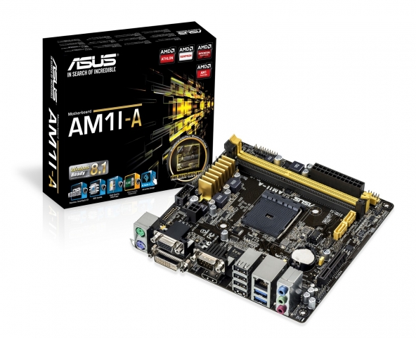 asus am1